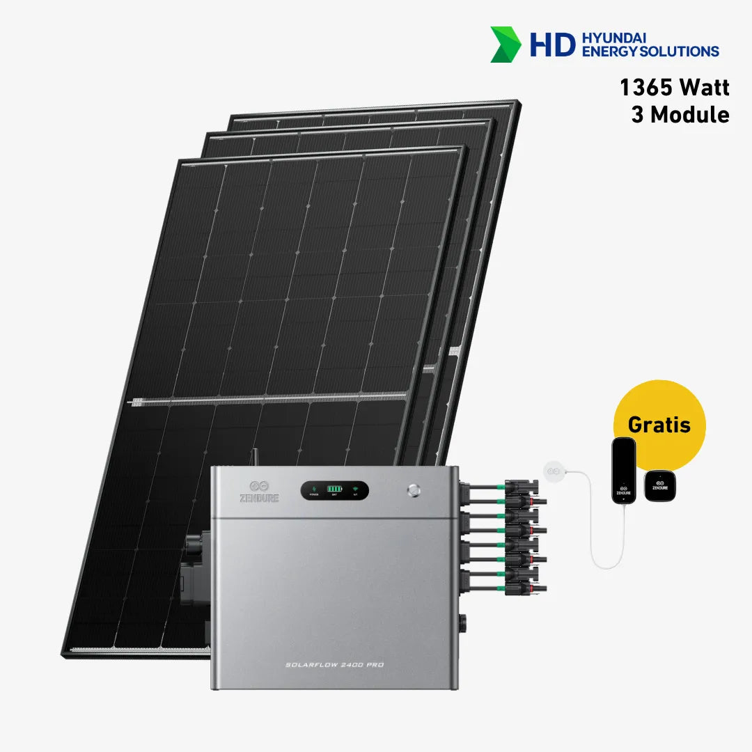 Basic 1365 bifazial Pro (mit Zendure Solarflow 2400 Pro)