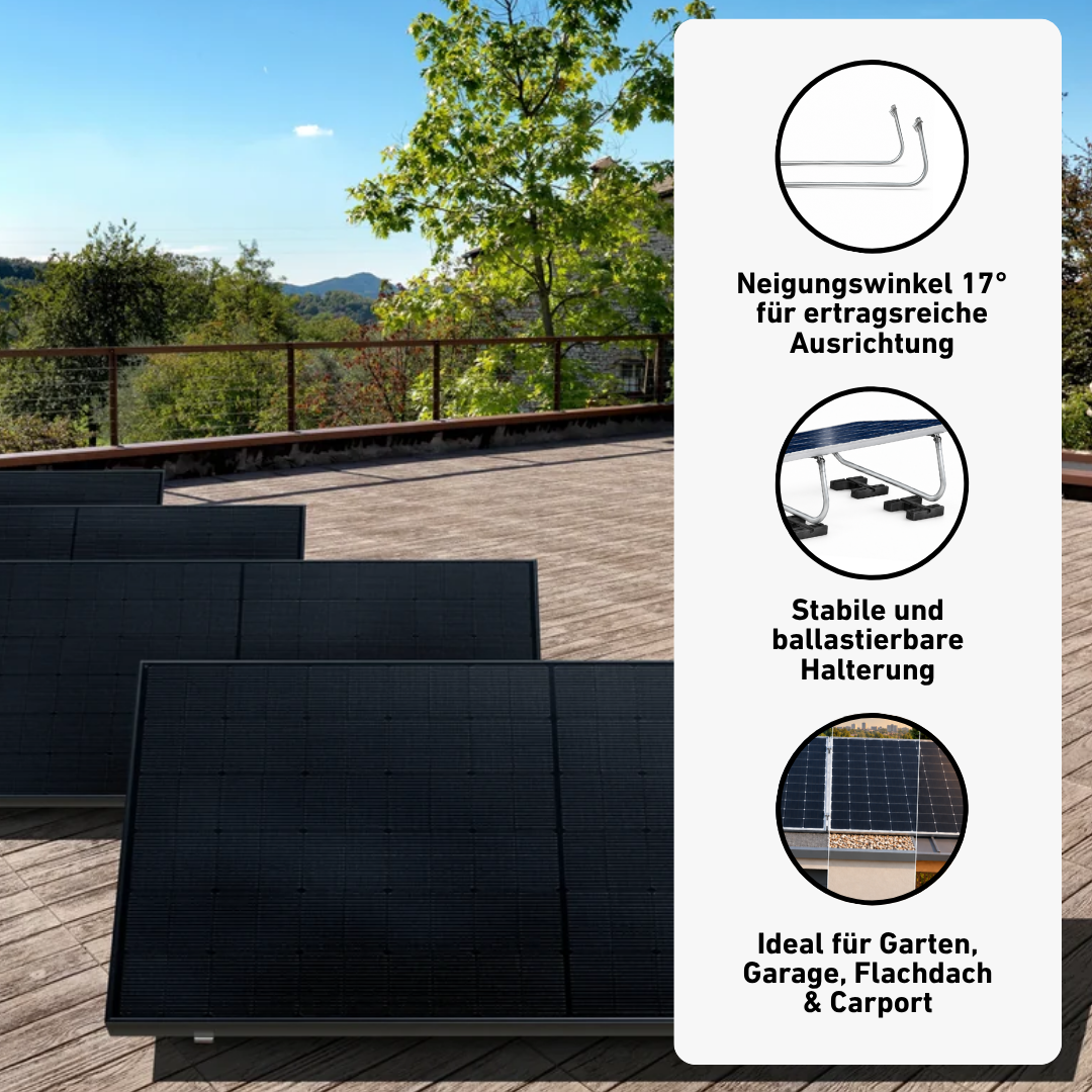 Basic Roof 910 bifazial (Flachdach)